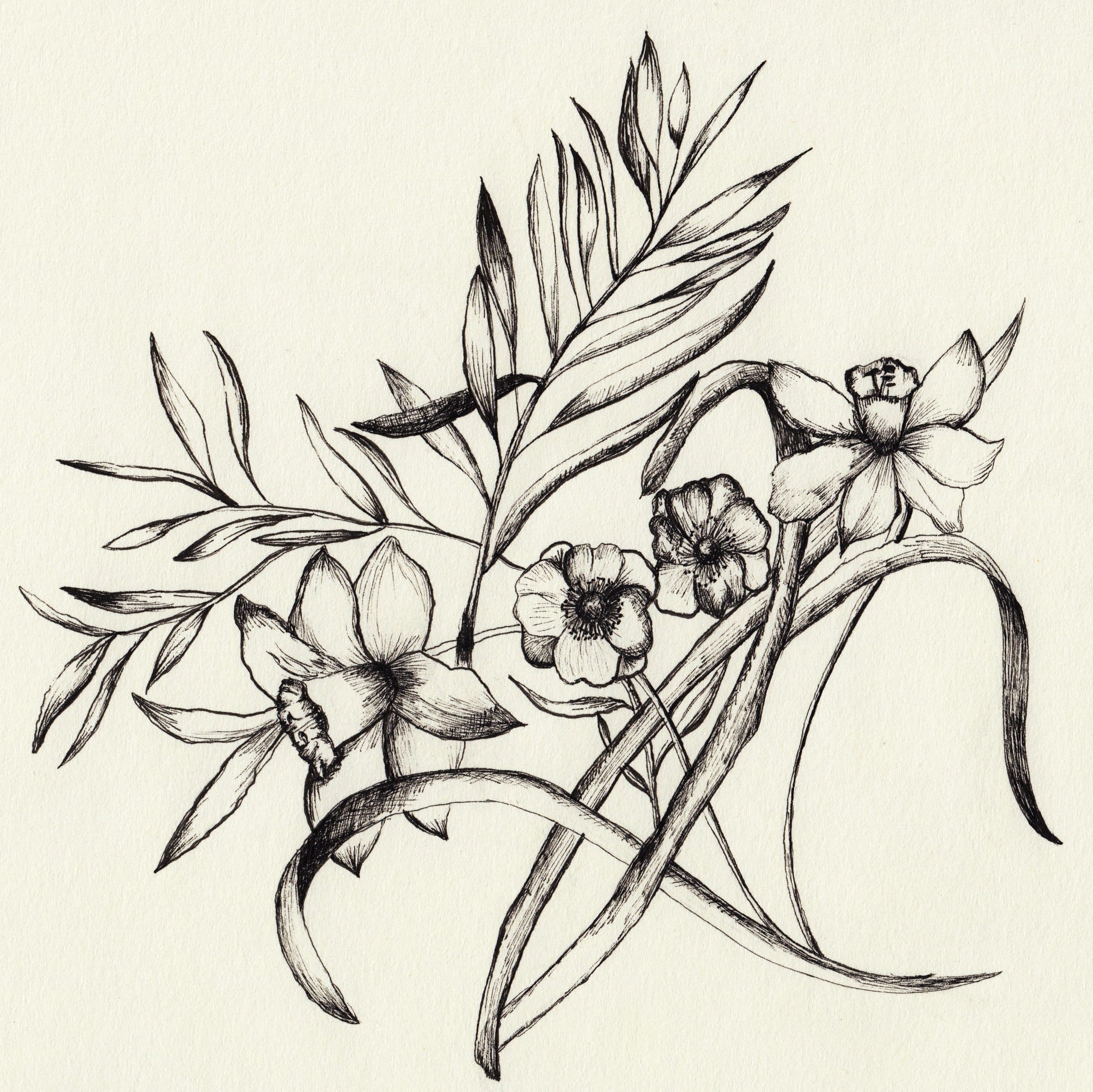 Birds & Flowers
